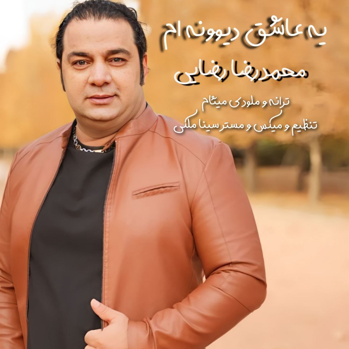 دانلود آهنگ محمدرضا رضایی یه عاشق دیوونه ام